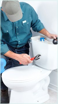 clogged toilet repair